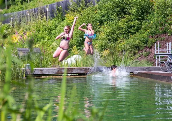 0016 HG Bachgut zomer 7
