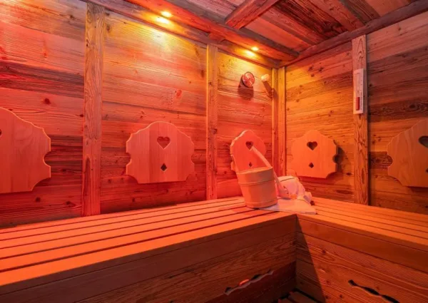 0018 HK Falkensteinalm Top 1 2 sauna 3