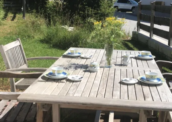 0011 HKR Gans 2 zomer 4