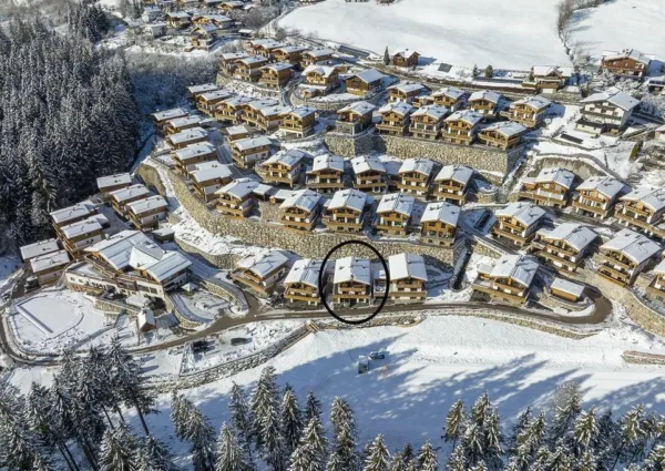 0028 NK Kratzenberg drone winter 2 met cirkel