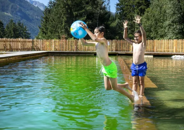 0029 NK NPC Schwimmteich 106