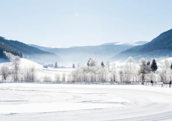 0033 MD winter drone 3