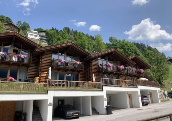 WLD Alpenglockchen zomer 8