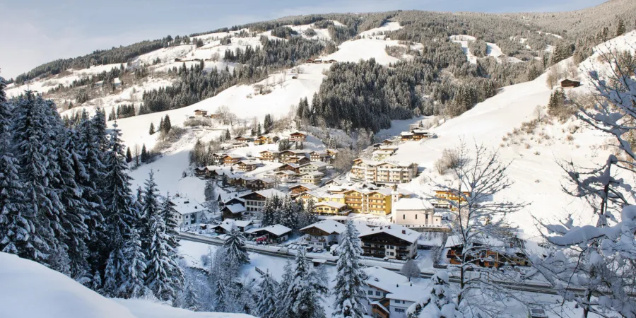 Viehhofen Ort Winter